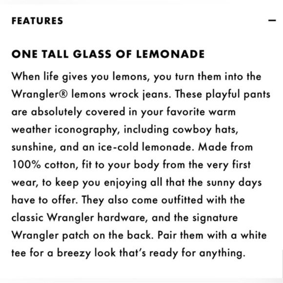 Wrangler High Rise Kick Flare Jeans Wrock 672 Lemons Retro Cowgirl Plus Size 35 - Picture 9 of 10